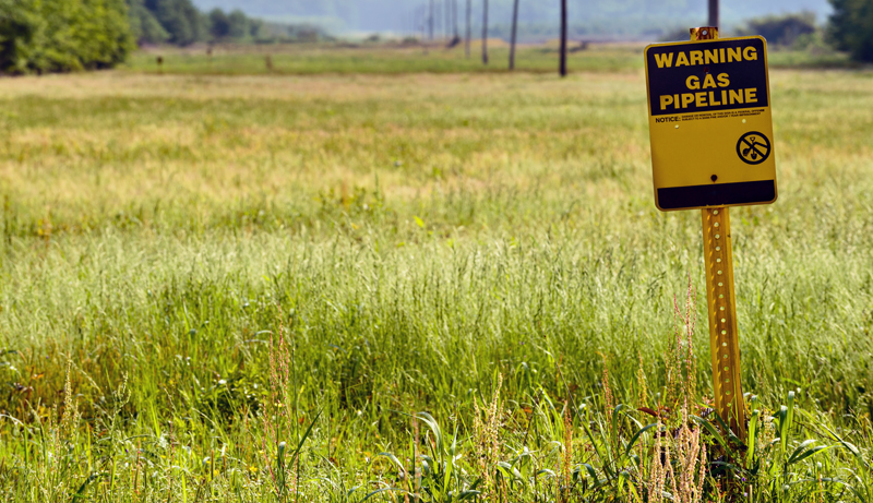 Introducing Jiva’s New Course: Responding to Unauthorized Activities